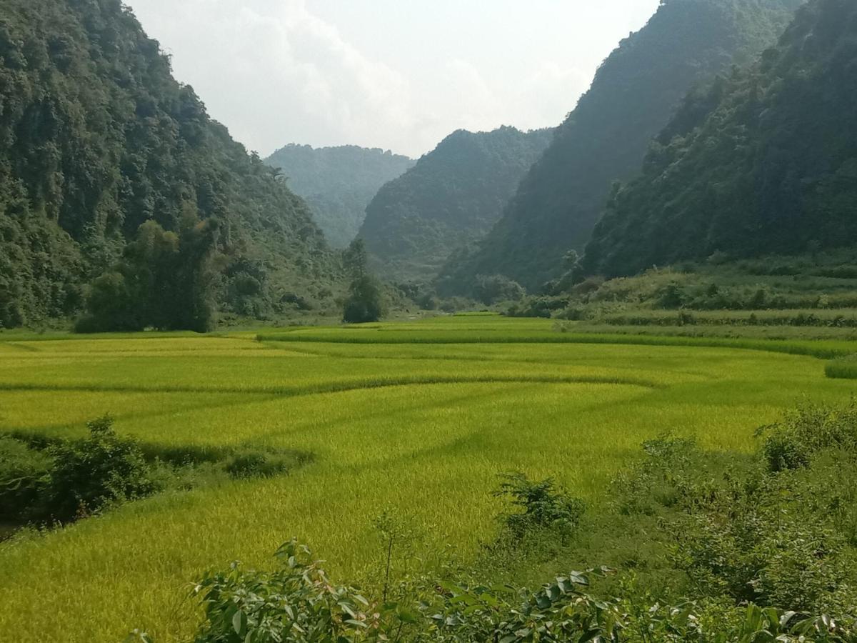 Quang Thuan Ban Gioc Homestay カオバン エクステリア 写真